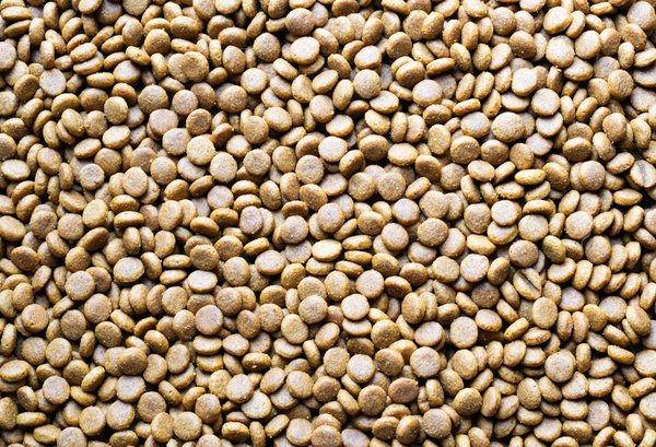 Optimisez Votre Posture avec la Chiropraxie : Un Allié Essentiel pour Votre Bien-être