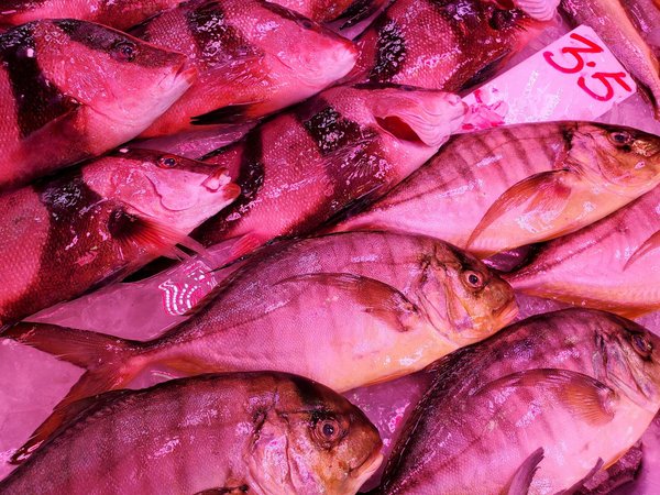 Transformation des Politiques de Santé : Exploration de Ses Impacts Profonds